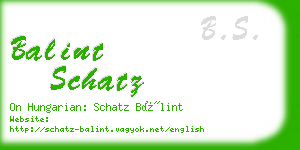 balint schatz business card